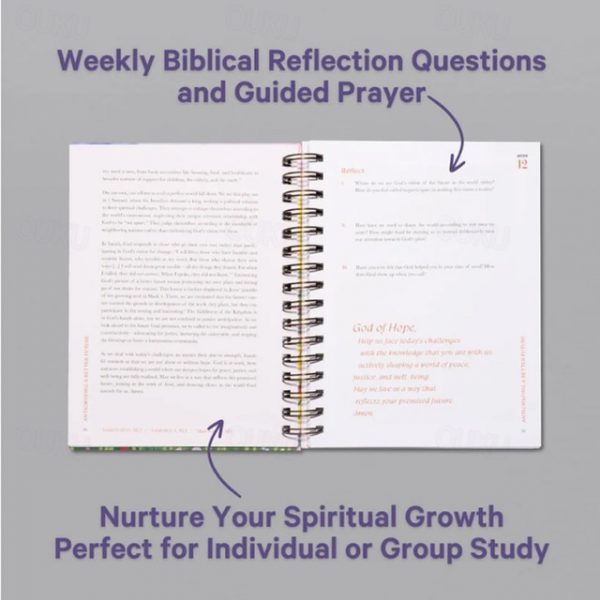 A Beautiful Year in The Bible Mothers Day Gifts for Mom for Christians Upgrade Spiral-Bound Women Bible Study Guide, The 52-Week Bible Study for Women