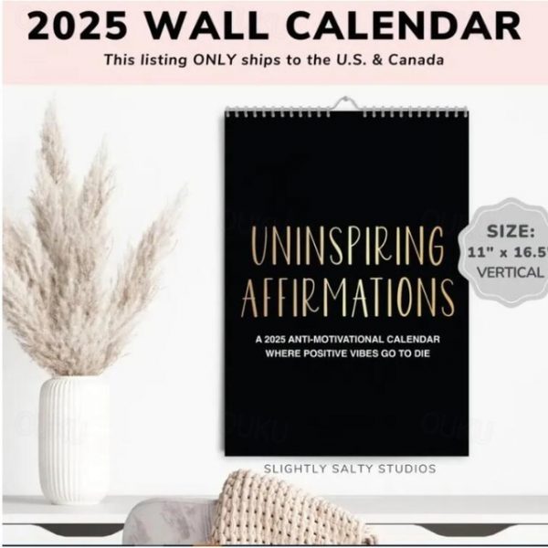 Demotivational Sarcastic Wall Calendar, 2025 Negative Sarcasm Calendar Desk Calendar, Christmas Calendar Gift New Year's Calendar Gift Xmas Gift 2025